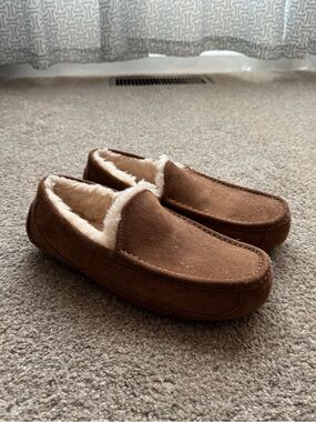 UGG Ascot Slippers in Chestnut